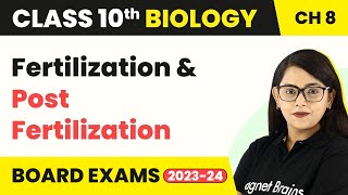 Class 10 Biology Chapter 8  Fertilization and Post Fertilization [upl. by Nyleikcaj]