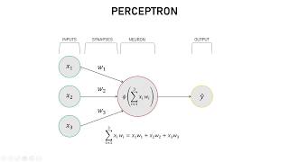 Create a Simple Neural Network in Python from Scratch [upl. by Hafeetal]