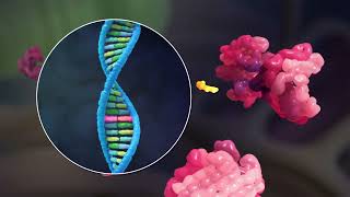 3D Video Understanding ATTR Amyloidosis [upl. by Surovy]