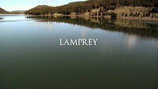 Blood Lake Attack of the Killer Lampreys 2014 Hindi Dubbed 360p [upl. by Hutton]