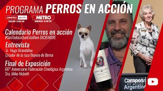 “Perros en acción” Programa Nº 491 [upl. by Emmerie]