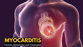 How the Heart Works Video Cardiomyocyte [upl. by Veda]