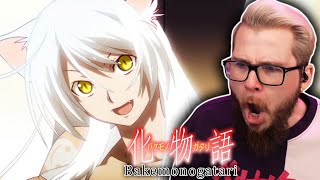 Tsubasa Cat  Bakemonogatari Ep 1115 Reaction [upl. by Artenek778]