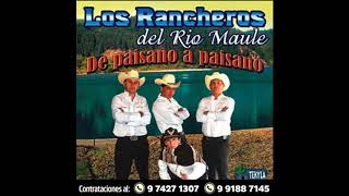 Los Rancheros de Rio Maule  Corazón Indomable [upl. by Naujd127]