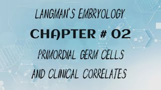 Embryology Langmans Chapter 2 Primordial germ cells and teratomas [upl. by Yrro]