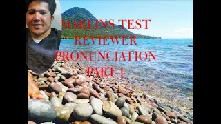 MARLINS TEST REVIEWER FOR SEAFARERS [upl. by Quent]