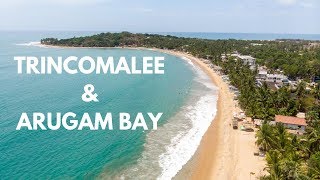 Trincomalee and Arugam bay [upl. by Spieler]