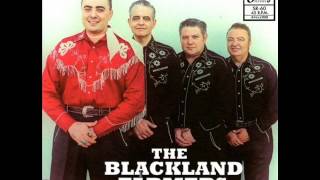 The Blackland Farmer  I Will Rock and Roll With You SLEAZY RECORDS [upl. by Ylrebnik]