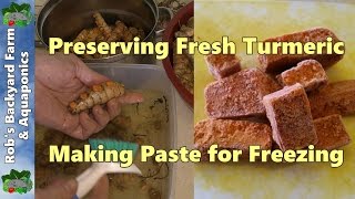 How to Preserve Fresh Turmeric Turmeric Paste for the Freezer [upl. by Marieann]