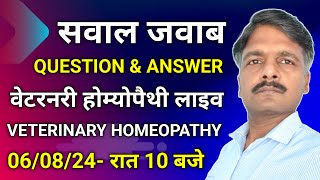 Prolapse in CowBuffalo Treatment  Anoestrus in Cattle Hindi  VETERINARY HOMEOPATHY Live 060324 [upl. by Skipp]