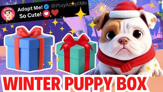 🐶NEW ADOPT ME CHRISTMAS BOX Christmas Pets  Minigames Update in Adopt Me Roblox [upl. by Nichola]