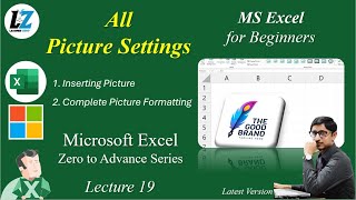 19 Complete Picture Settings in MS Excel  Free Course for Beginners in Urdu Hindi excel teacher [upl. by Torin195]