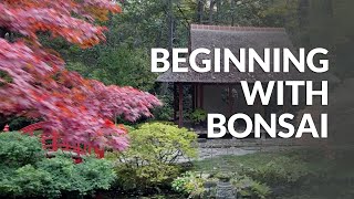 Beginning with Bonsai [upl. by Macur]