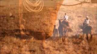 The Rolling Stones  Wild Horses Lyrics HD [upl. by Ahtekahs]