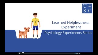 Learned Helplessness Experiment Doggone Attitudes  Psychology Experiments Series  Academy 4 S [upl. by Harlene]