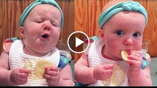 Lustige Baby essen Zitrone Videos  LUSTIGES BABY [upl. by Lourie840]