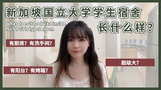 带你参观NUS学生宿舍 NUS PGPR student dormitory type 2 roomRoom tour [upl. by Noryd]