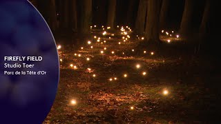 Fête des lumières de Lyon 2022  Firely Field au parc de la Tête dor [upl. by Toddie38]