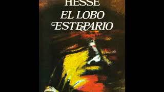 El lobo estepario Hermann Hesse Audiolibro completo [upl. by Eaton960]