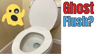 Fix it Yourself Toilet Runs On and Off [upl. by Nednal]