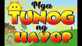 MGA TUNOG NG HAYOP ANIMALS SOUND  ONLINE TUTOR  ONLINE CLASS teacherzel [upl. by Nolte]