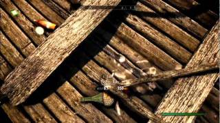 Easy location for Flawless Diamond in Skyrim takes literally 30 seconds [upl. by Tearle336]