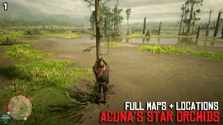 Red Dead Redemption 2  ALL 10 Acunas Star Orchids Locations amp Maps COMPLETE  RDR2 [upl. by Sivart980]