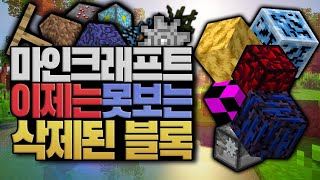 지금은 못보는 마크에서 삭제된 블록들 마인크래프트 minecraft 블루위키 [upl. by Doowron166]