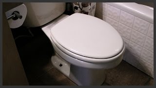 How to fix a loose toilet seat [upl. by Arsi]