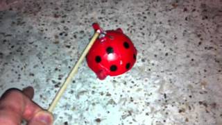 Lady Bug Spinning Aerial Firework Demonstration by Reaganzi [upl. by Azral]