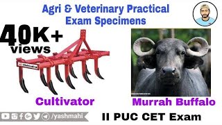 AGRICULTURE amp VETERINARY Practical Exam Specimens  All In One  KCET Practical Exam  YM [upl. by Eilsel]