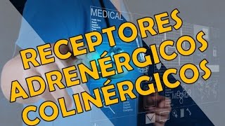 RECEPTORES ADRENÉRGICOS Y COLINÉRGICOS [upl. by Anivas88]