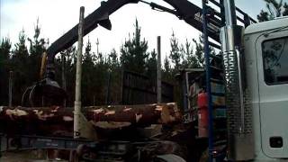 LOG TRUCKING IN AUSTRALIA pt2 [upl. by Garvey73]