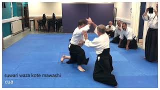 Aikido  suwari waza [upl. by Won263]