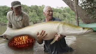 Incredible REEL TIME Arapaima Catch  ARAPAIMA  River Monsters [upl. by Eilram34]