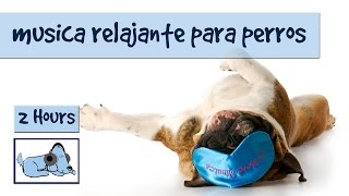 Mas de 2 horas de musica calmante para perros perfecto para momentos de ansiedad en el perro [upl. by Marigold]