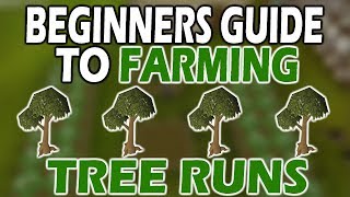 OSRS ULTIMATE Beginners TREE RUN GUIDE  Farming For Noobs [upl. by Latsyk380]