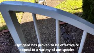 Optigard Ant Gel Review and Demonstration [upl. by Ernst209]