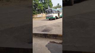 Palasa to Singupuram Pallevelugu mass entry palasa srikakulam apsrtc andhra pallevelugu bus [upl. by Adabelle]