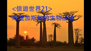 信遊世界21 馬達加斯加的生態品種 [upl. by Mary844]