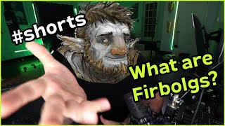 What is a Firbolg in DampD [upl. by Irtemed]