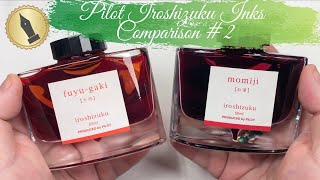 Pilot Iroshizuku Inks Comparison 2 [upl. by Hctub]