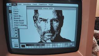 Apple Macintosh Plus 1986 Powered on Running MacPaint amp HyperCard [upl. by Trillbee]