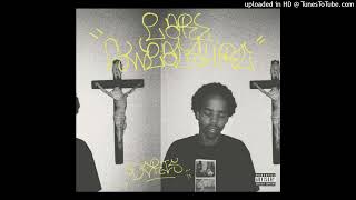 Earl Sweatshirt  Molasses ft RZA [upl. by Ahsennek702]