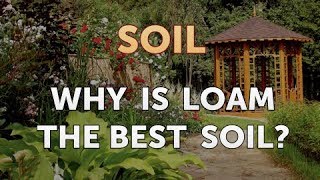 Why Is Loam the Best Soil [upl. by Arraik796]