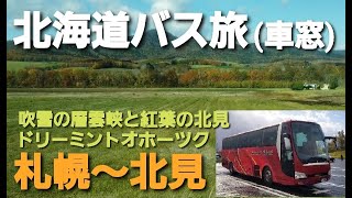 【北海道バス旅】ドリーミントオホーック号で吹雪の石北峠から紅葉の北見へ札幌～北見 [upl. by Larson476]