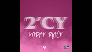 Kodak Black  2CY Official Visualizer [upl. by Ardnaed]