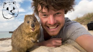 Quokka Selfie Tutorial  How to take Animal Selfies  Ultimate Guide [upl. by Temme]