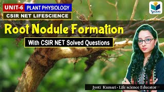 ROOT NODULE FORMATION AND BIOCHEMISTRY OF NOD GENES CSIR NETPLANT BIOLOGY [upl. by Lacsap]