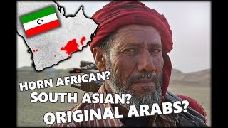 Modern South Arabians A Demographic Anomaly [upl. by Assil661]